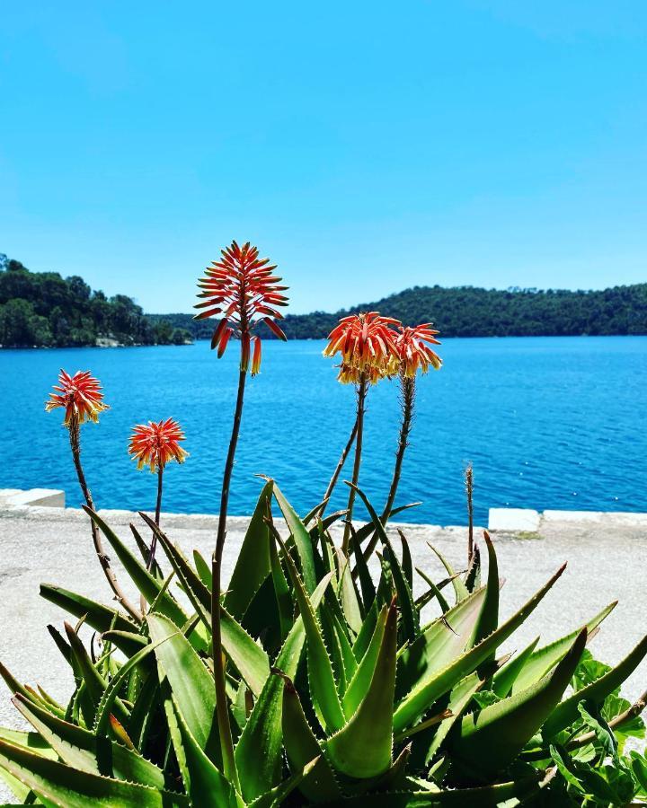 Villa Radulj Kozarica Esterno foto